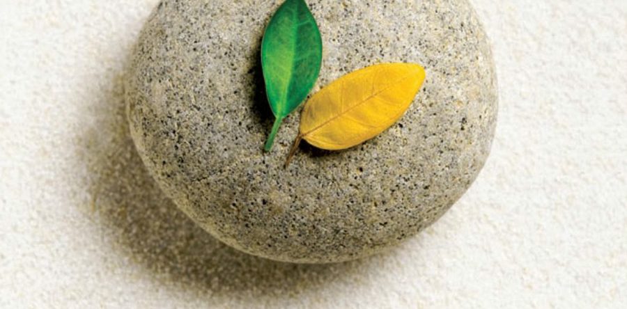 Ageless Organic Products